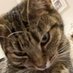Moss but private (@wheezymosspriv) Twitter profile photo Moss but private (@wheezymosspriv) Twitter profile photo