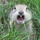 Graham Laing - @GrahamWKL - Twitter