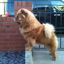 steve radford - @etsukochows - Twitter