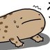 @rs_kabu