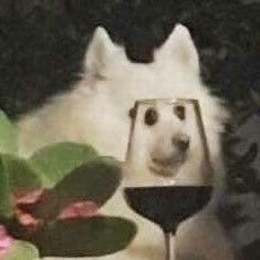 r_tantann's profile picture. ♪キミに良いことがあるように〜 (ง ᵕωᵕ)ว