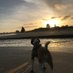 Stuart (@stuartg123a) Twitter profile photo