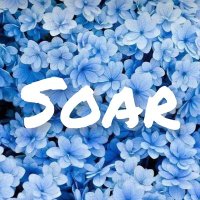 SOAR(@SOAR_pez) 's Twitter Profile Photo