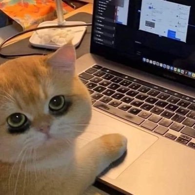 EthicWar's profile picture. 