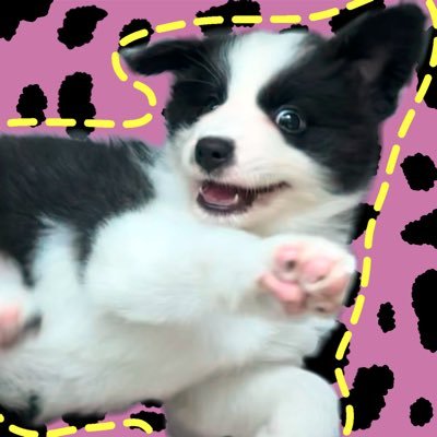 KksYola's profile picture. Come watch TV?