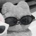 ์๋ณต์๋ณตโ๏ธ (@kay1596) Twitter profile photo ์๋ณต์๋ณตโ๏ธ (@kay1596) Twitter profile photo