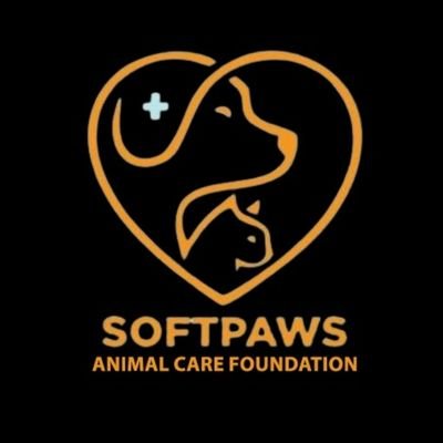 Passionate advocates for animals in need, we unveil sufferings, rescues pets, and protect them from harm. Join us in making a difference!