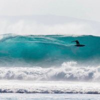 MarcDotNarc (@marcdotnarc) 's Twitter Profile