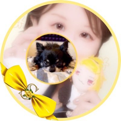 真美💛さんのプロフィール画像