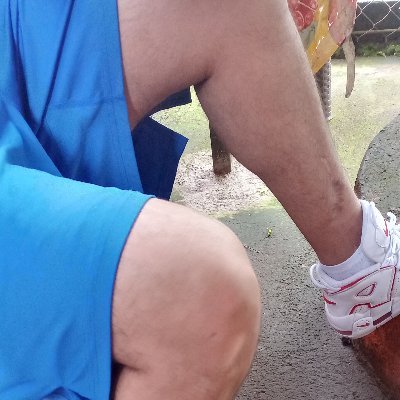 Alejand34149241's profile picture. 