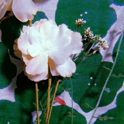 はぴ🌱.*さんのプロフィール画像