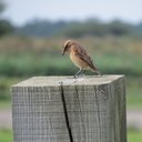 Mark Harmer - @MarkHarmer - Twitter