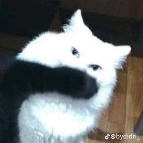 uknowpineapple's profile picture. ⋆｡°✩ quiets chatter; 滝 🧸 ⋆˚⋆˙‧₊