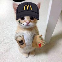 ɡəwəɪn (@0xgawain) 's Twitter Profile