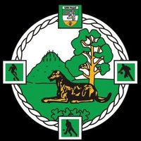 Ballyfore GAA (@ballyforegaa) 's Twitter Profile