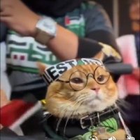 ikram (@ur_fav_ikram) Twitter profile photo