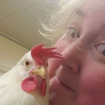 PhD in Animal Bioscience - poultry behaviour and welfare