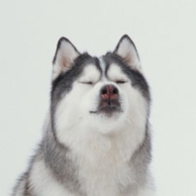 _yhw_em_llet_'s profile picture. 京本会書記