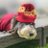 Don_Nago's profile image