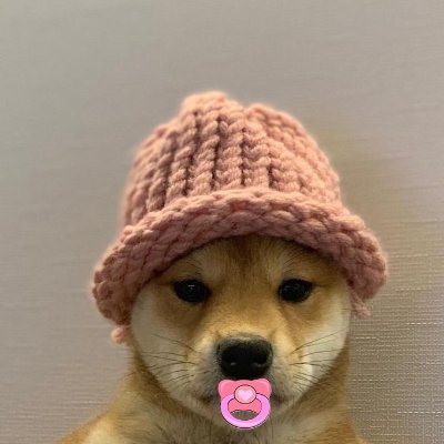 Hey im only a babydog with a hat