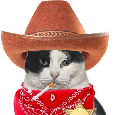 cxldhvnds's profile picture. 30 | they/them ⚧ | IG 📸: cxldhvnds | @porxfin 💕