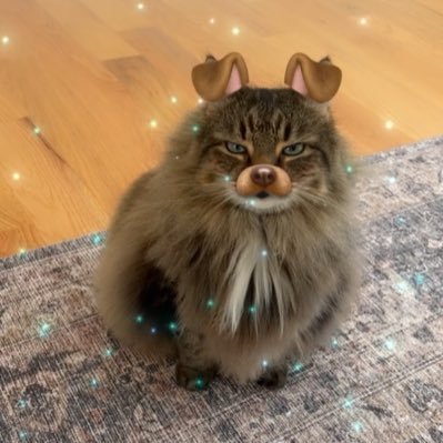 Food, fluff, home, & hacks 🥘 🏡 🐱 Insta: stev5 & cattniko TikTok: @foodiefluff