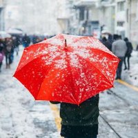 Kar Kaplanı (@karkaplanii) Twitter profile photo