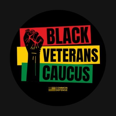 The BVC is dedicated to protecting and advancing the right to vote and advocacy for social justice reform for Black Americans and disenfranchised communities.