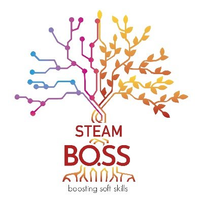 A co-funded by EU project focused on integrating the STEAM approach to enhance the importance of soft skills in professional success