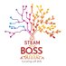 STEAM BOSS (@STEAMboss_eu) Twitter profile photo