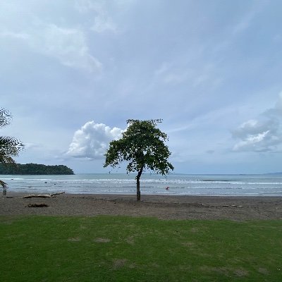 Elbergu2gruesa's profile picture. 