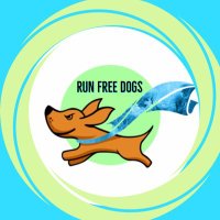 RUN FREE DOGS(@runfreedogs) 's Twitter Profileg