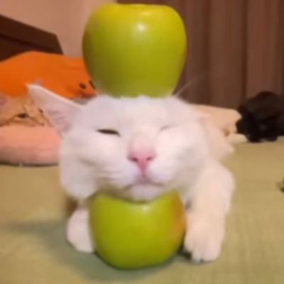 forg__00's profile picture. 
