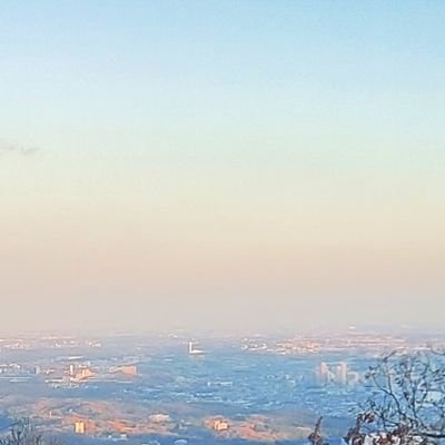 蔦さんのプロフィール画像