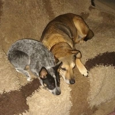 Pffftism's profile picture. 