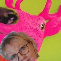 K.A. Rosenholm aka @reindeerfinn 🇫🇮🇪🇺(@reindeerfinn) 's Twitter Profile Photo