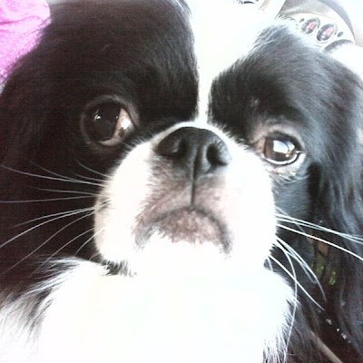 Chinone1763's profile picture. 