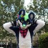 jeetix's profile picture. Sometimes but not always. 

Fursuit by @fluffymischiefs