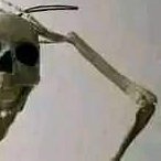 QuackyZ33DZaD's profile picture. 