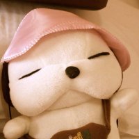 Fergie (@xiwellwisher) 's Twitter Profile Photo Fergie (@xiwellwisher) 's Twitter Profile Photo
