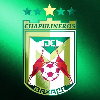 Equipo fundador en la Liga de Balompié Mexicano 🇲🇽

🎮⭕️🔺❌ A C A
#TodoSomosChapus 💚