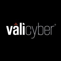 Vali Cyber(@vali_cyber) 's Twitter Profile Photo