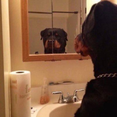 weezest01's profile picture. 