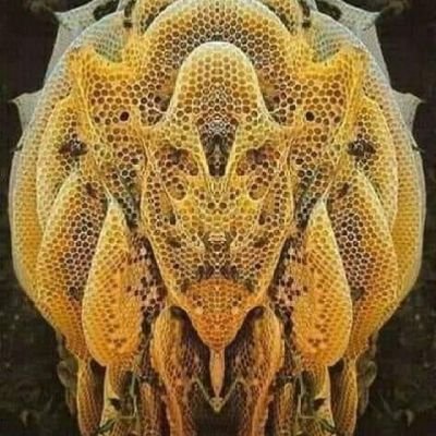 nMchjEUPdFuXe0u's profile picture. 