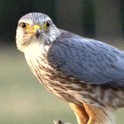 y8yu8's profile picture. 