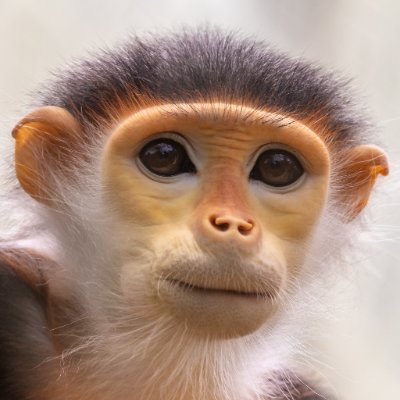 aimeric3's profile picture. 