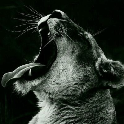 Cherelive's profile picture. 