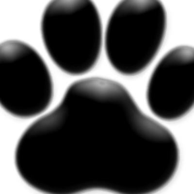 fernandoqu66559's profile picture. 