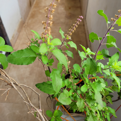 SP8545697813133's profile picture. 