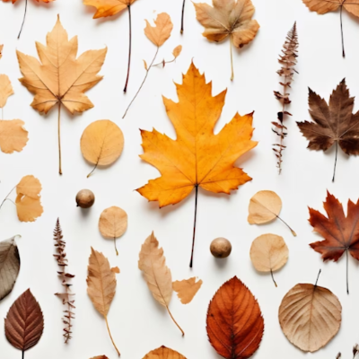 JonSon859649's profile picture. I am a content writer and a Digital marketer. I want to Increase my Audience and sell by my Website.